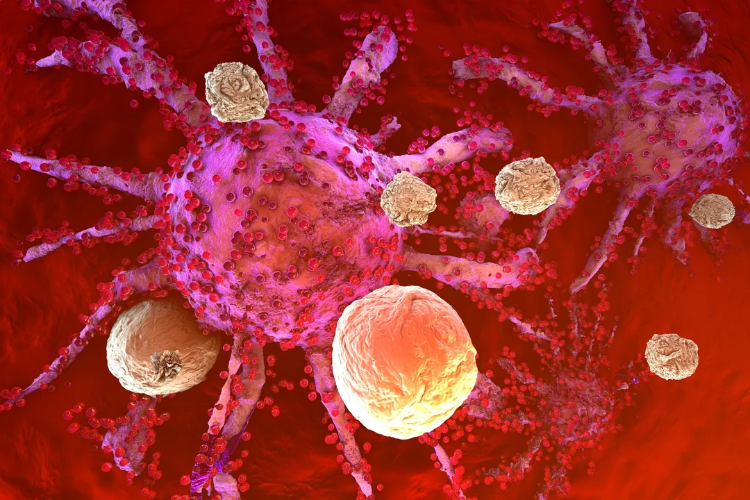 New Breakthrough in Cancer Research: AI Predicts Treatment Response with 90% Accuracy